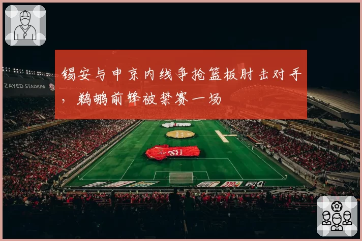 锡安与申京内线争抢篮板肘击对手，鹈鹕前锋被禁赛一场
