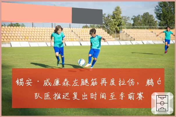 锡安·威廉森左腿筋再度拉伤，鹈鹕队医推迟复出时间至季前赛