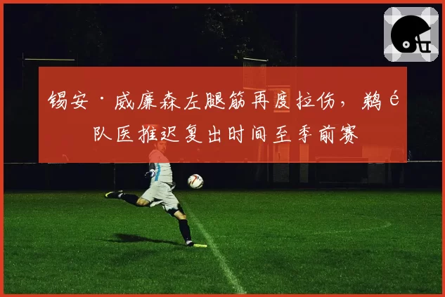 锡安·威廉森左腿筋再度拉伤，鹈鹕队医推迟复出时间至季前赛