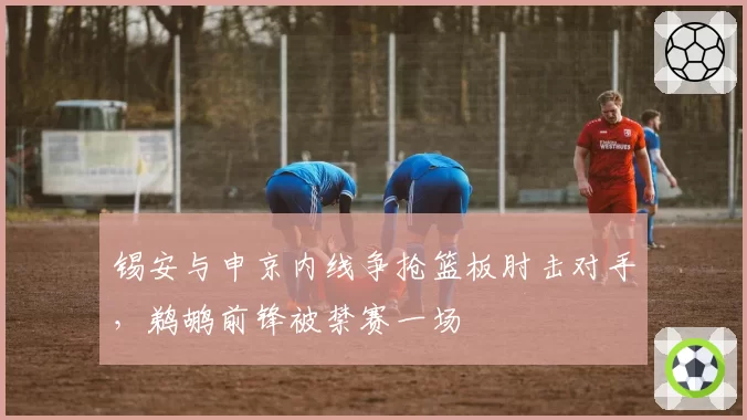 锡安与申京内线争抢篮板肘击对手，鹈鹕前锋被禁赛一场